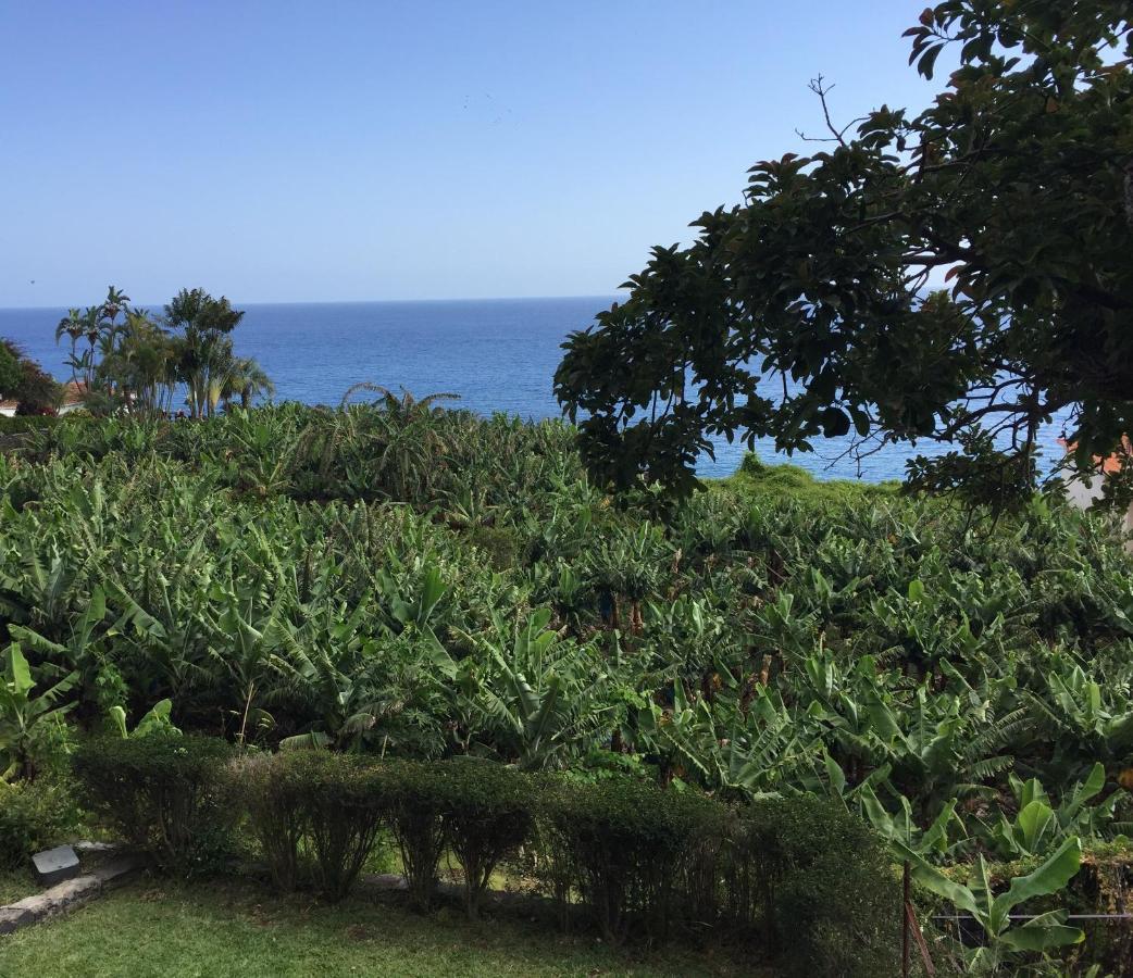Chalet Tropical Arco da Calheta  Exterior photo